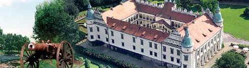 baner turniejowy:banner.jpg